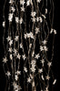 Star LED Rope Lights with 700 LEDs