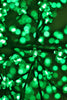 Cherry Blossom Floral Light Tree - Available in 4 Colors