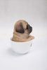 Pet Pals - Teacup Pug Puppy