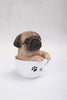 Pet Pals - Teacup Pug Puppy
