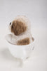 Pet Pals - Teacup Shih Tzu Puppy