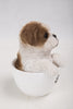 Pet Pals - Teacup Shih Tzu Puppy