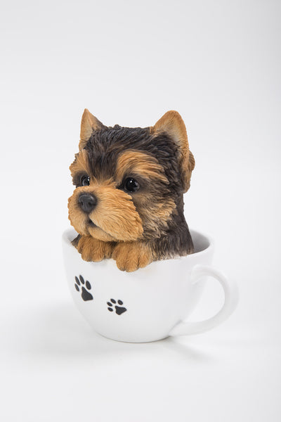 teacup yorkshire terrier puppies