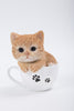 Pet Pals - Teacup Kitten Orange Tabby