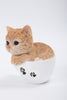 Pet Pals - Teacup Kitten Orange Tabby