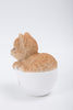 Pet Pals - Teacup Kitten Orange Tabby