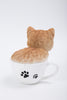 Pet Pals - Teacup Kitten Orange Tabby