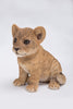 Pet Pals - Lion Cub Sitting