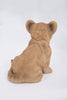 Pet Pals - Lion Cub Sitting