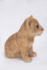 Pet Pals - Lion Cub Sitting