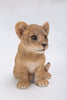 Pet Pals - Lion Cub Sitting
