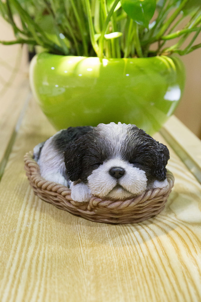 Pet Pals - Wicker Basket-Shih Tzu Black/White
