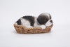 Pet Pals - Wicker Basket-Shih Tzu Black/White