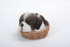 Pet Pals - Wicker Basket-Shih Tzu Black/White