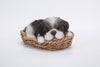 Pet Pals - Wicker Basket-Shih Tzu Black/White