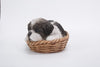 Pet Pals - Wicker Basket-Shih Tzu Black/White