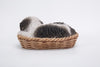 Pet Pals - Wicker Basket-Shih Tzu Black/White