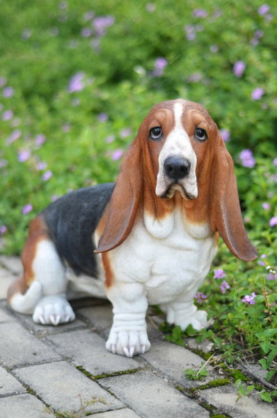 Large basset hound best sale