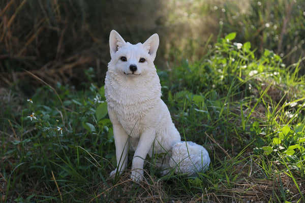 Buy Snow Fox Sitting Statue for Sale Online in USA & Canada