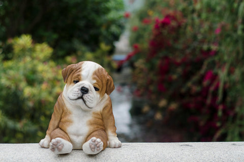 BULLDOG SLEEPING MEDIUM