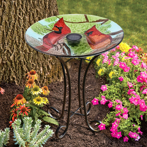 SOLAR LED FLORAL GLASS BIRD BATH WITH STAND - CARDINAL