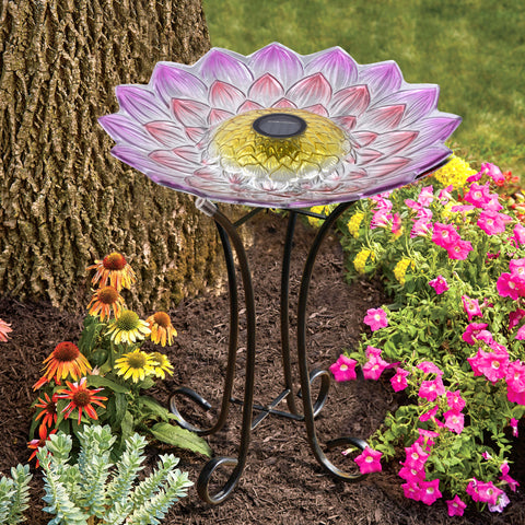 SOLAR LED FLORAL GLASS BIRD BATH WITH STAND - PINK DAHLIA