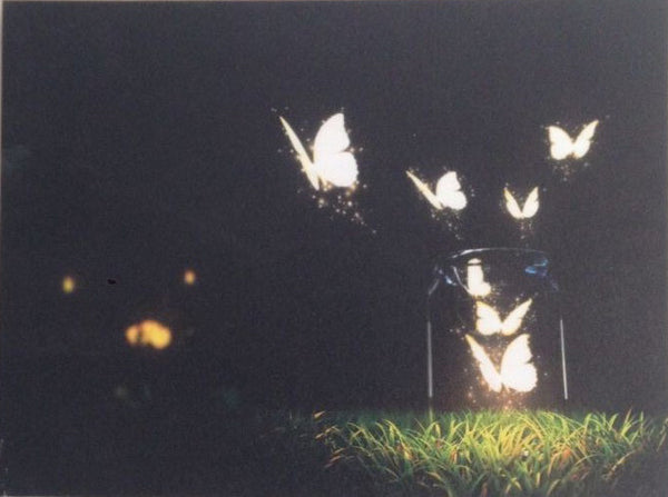 Butterflies On Canvas - Illuminated Painting