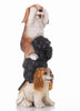 Stacking Dogs-Hear/See/Speak No Evil