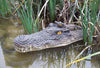Crocodile Floater - Large