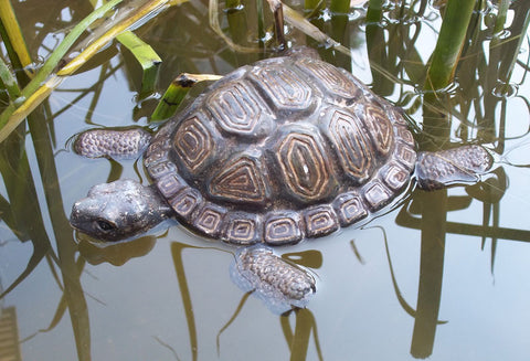 Tortoise Floater