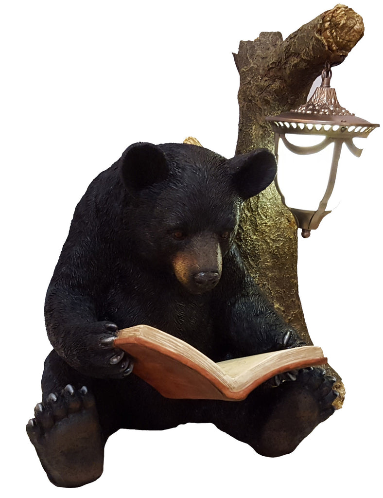 Lamp-Black Bear Sits Reading By Tree Trunk