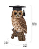 Owl with Glasses and Graduation Cap