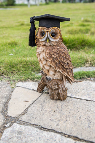 Owl with Glasses and Graduation Cap