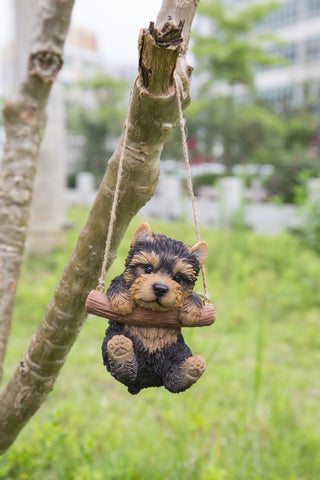 Hanging Yorkshire Terrier Puppy