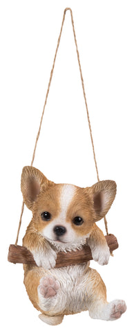Hanging Chihuahua Puppy