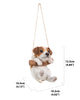 Hanging Jack Russell Terrier Puppy