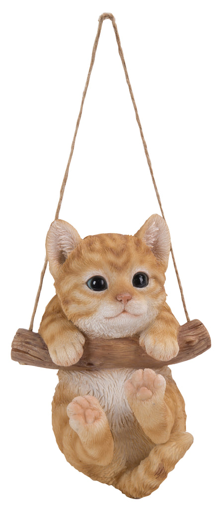 Hanging Tabby Kitten