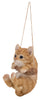 Hanging Tabby Kitten