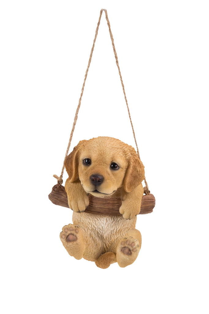 Hanging Golden Retreiver Puppy