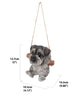 Hanging Schnauzer Puppy