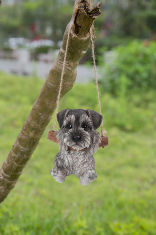 Hanging Schnauzer Puppy