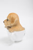 Pet Pals - Teacup Labrador Puppy