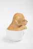 Pet Pals - Teacup Labrador Puppy
