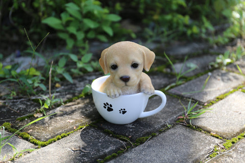 Pet Pals - Teacup Labrador Puppy