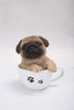 Pet Pals - Teacup Pug Puppy