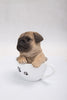 Pet Pals - Teacup Pug Puppy