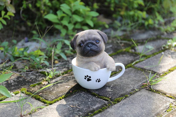 Pet Pals - Teacup Pug Puppy