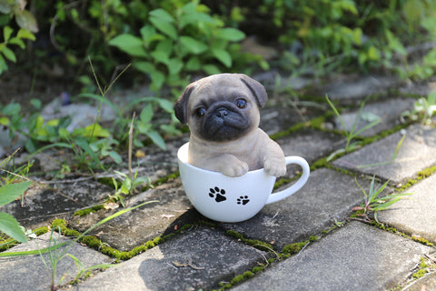 Pet Pals - Teacup Pug Puppy