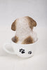 Pet Pals - Teacup Shih Tzu Puppy