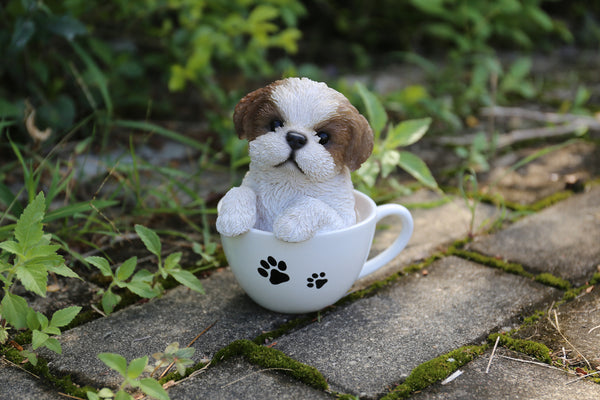 Pet Pals - Teacup Shih Tzu Puppy